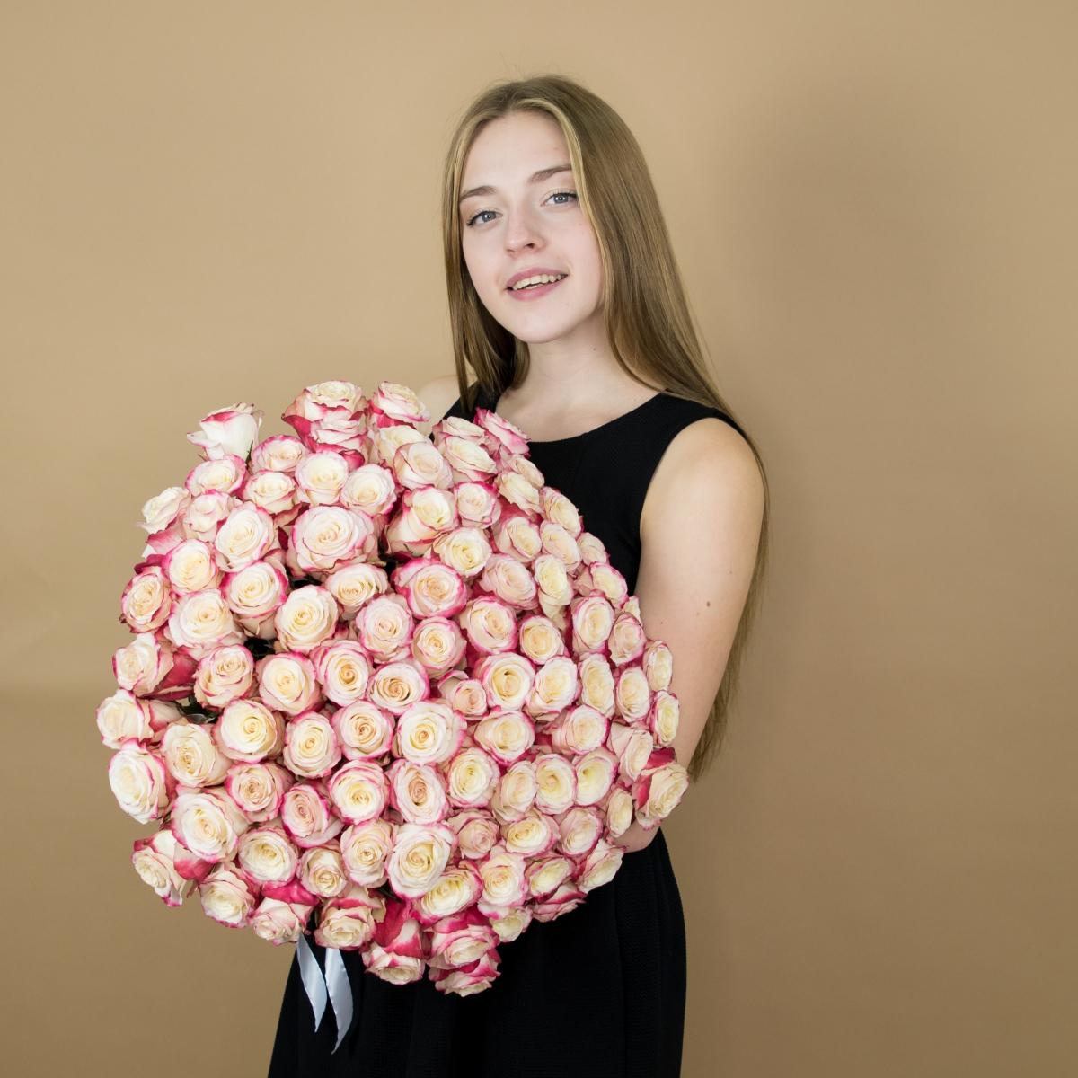 Розы красно-белые 75 шт 40 см (Эквадор) код товара: 58630