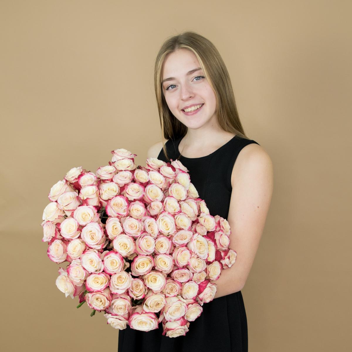Розы красно-белые 75 шт 40 см (Эквадор) код товара: 58630