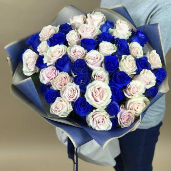 Белая и Синяя Роза 51шт 70см (Эквадор) (articul  7546omsk)